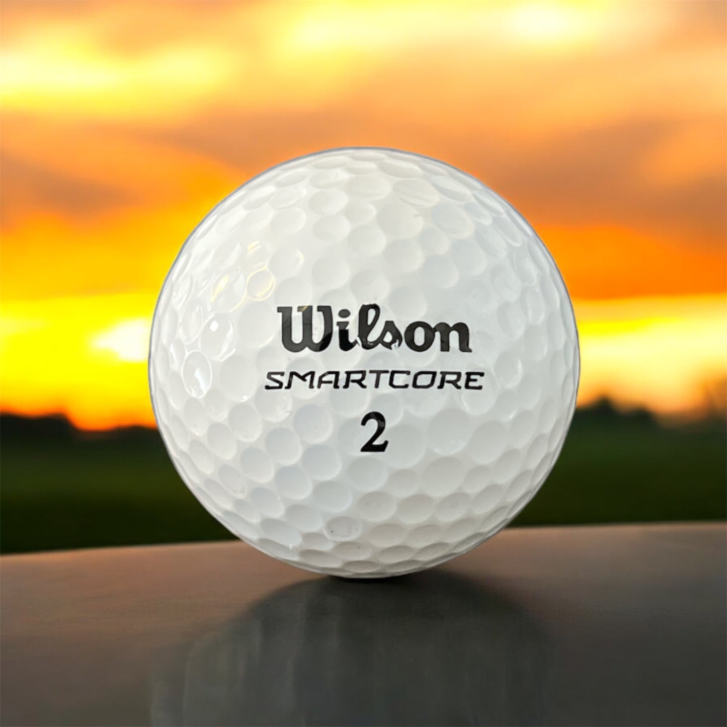 Wilson Smartcore